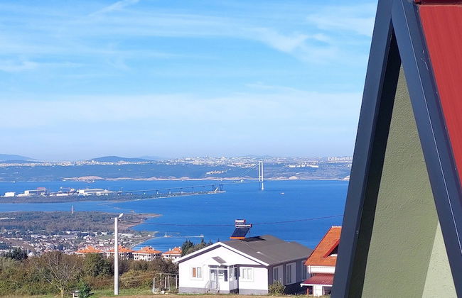 Patya BUNGALOV - Foto 56