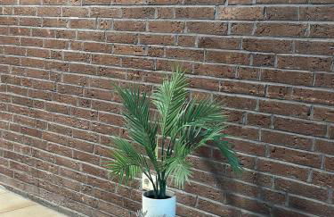 Werner Apartments - Photo 18