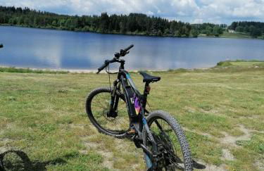 Gite AURIVES - Foto 3