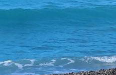 Atelier Sonia - Foto 50