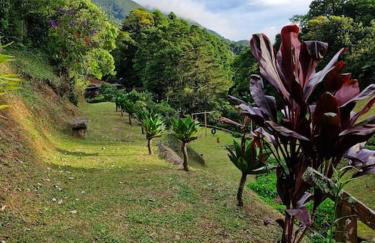 Chácara em Nova Friburgo (espaço inteiro) - Foto 14