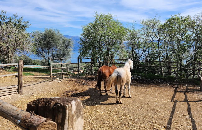 Agriturismo Scuderia Castello - Foto 38