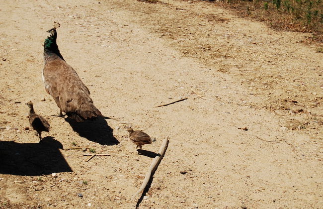 Vivienda Rural el Retorno - Foto 47