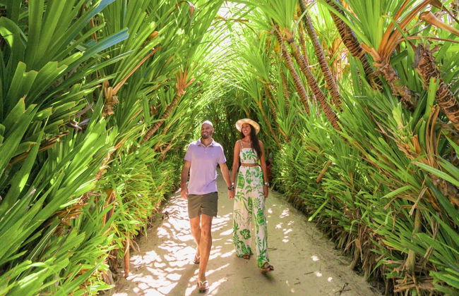 Excursión a la playa de los Carneiros - Foto 8