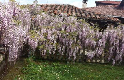 Apartamentos El Picoretu - Foto 11