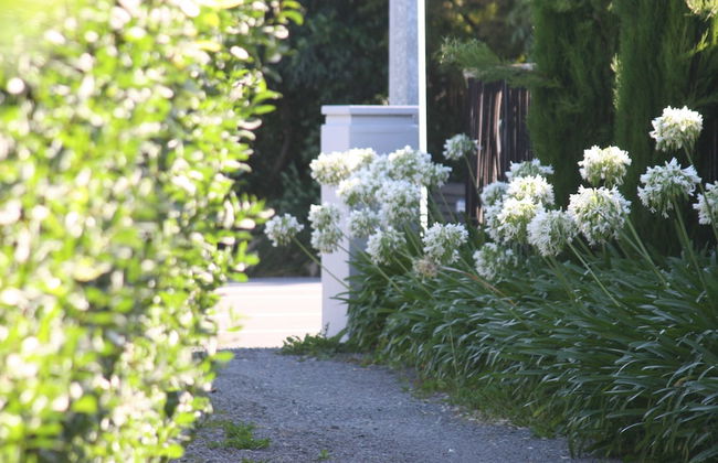 Walnut Grove Lodge - Foto 58