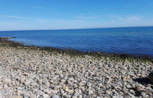 6 Person Holiday Home in Hornbaek - Photo 35