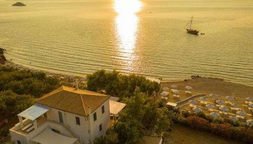 Hydra Erato - Photo 2