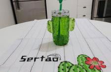 Aquarela do Sertão - Foto 16