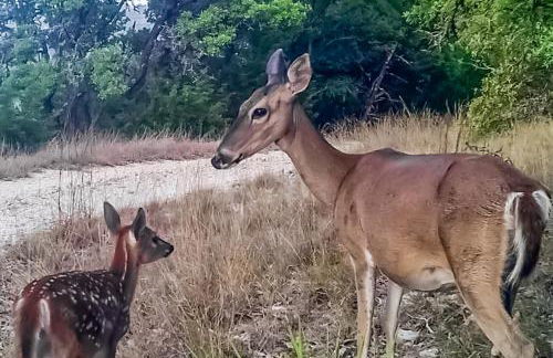 Rock of Ages Cabin at Amazing Grace Canyon - Foto 4