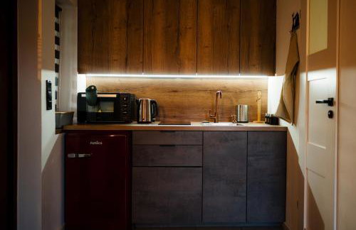 Kajaki wino i śpiew - domek z sauną w otoczeniu lasów i sąsiedztwie zalewu - Foto 51