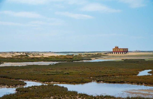 2bedroom House Cozy Typical Restored Single Storey 5 min From the Fuseta Beach - Photo 29