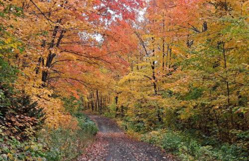 Incredible Guest Suite - Unique Off-Grid Lodging Experience with Sled Dogs in Minnesota - Foto 20