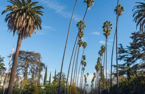 Franklin Hollywood Bowl Loft - Foto 8