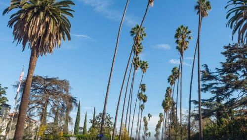 Magnolia Apt - Foto 1