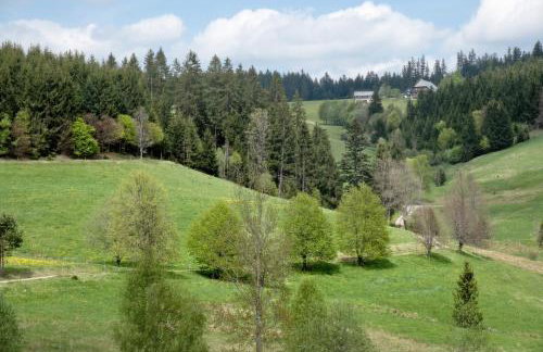 Rutscherhof Breitnau - Photo 35