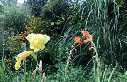 Superb Family Cabin with Mountain Views and Deck in Shandaken, New York - Foto 18