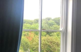 Escape To The Country @ Bron Offa Bach - Foto 20