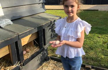 Willow Court Farm Studio South & Petting Farm, 8 mins from Legoland & Windsor, 15 mins from Lapland UK - Foto 74