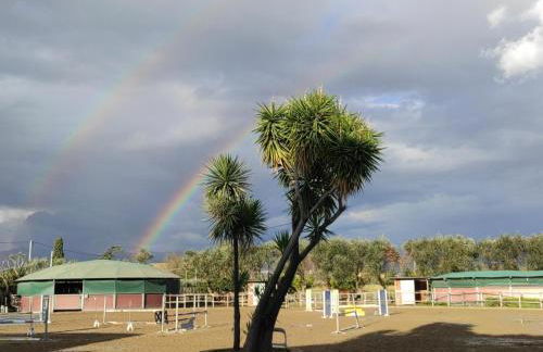 Elena House - Photo 18