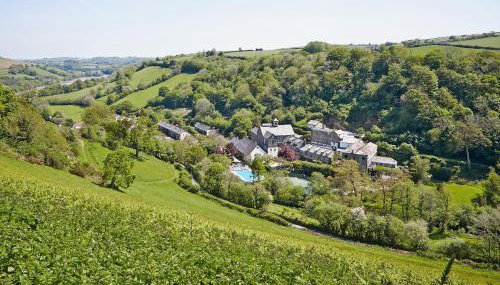 Tuckenhay, Mill Spring - Fmf - Photo 3