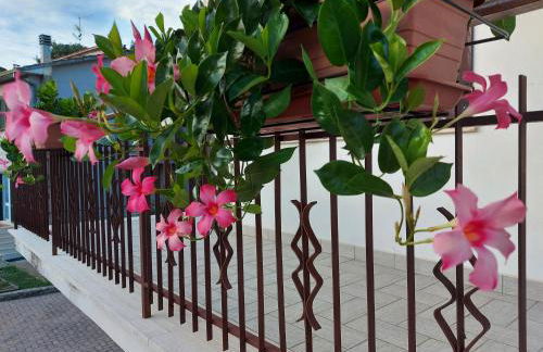 dimorafelice.sarteano - Photo 15