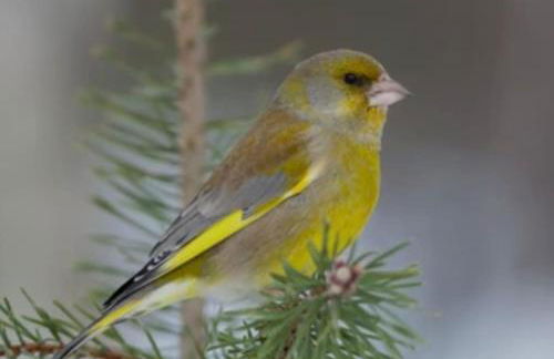 La Casa del Pan de Archivel - Foto 24