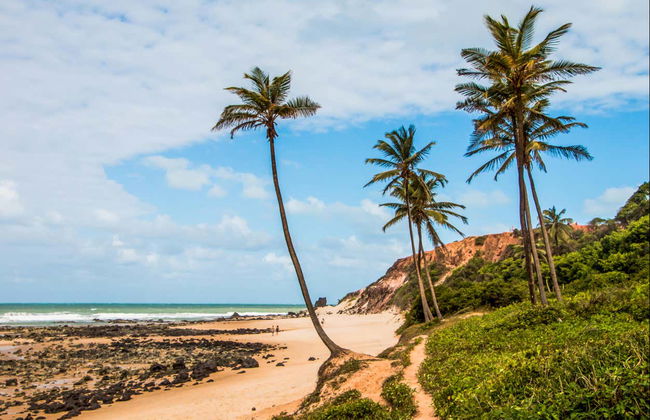 Escursione alle spiagge di Pipa - Foto 7