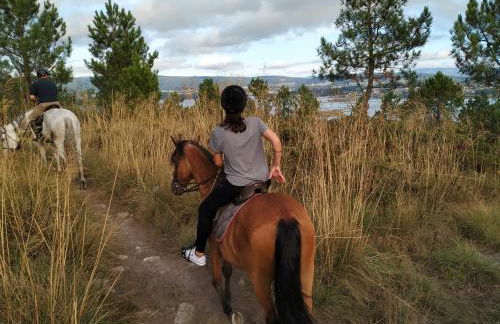 APARTAMENTO MARISMAS LANZADA - Foto 33