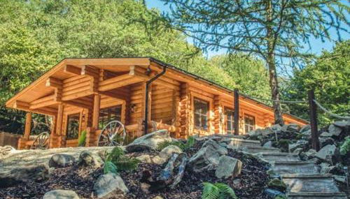 Wilderness Lodge - Photo 2