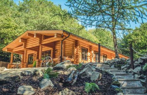 Wilderness Lodge - Foto 2