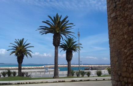 DOCEVIDA Appartement # Ocean View - Foto 25