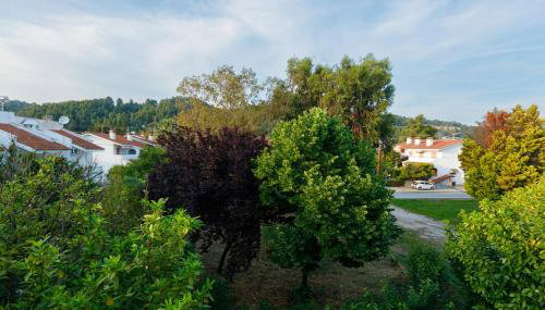 Kalipso Family Apartments - Foto 5