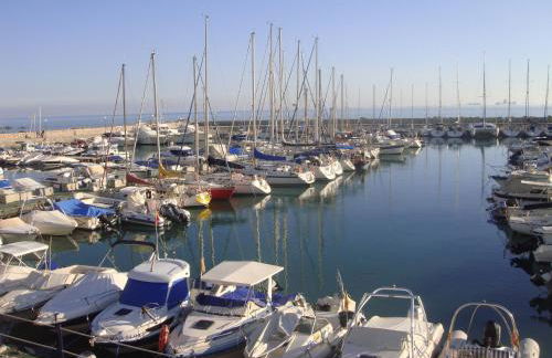 Aunt Antonia Beach House - Photo 38