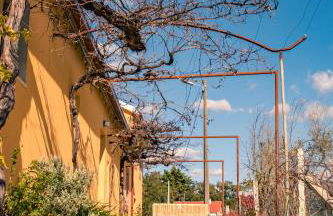 Quinta-lina de serpins - Foto 64