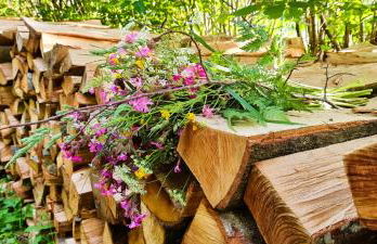 Gîte et SPA Chez Jules - Foto 28