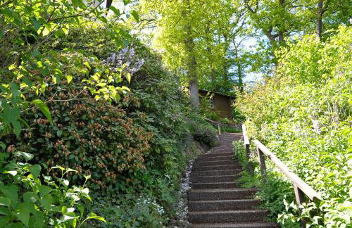 Rothaarsteig Ferienhaus - Photo 37