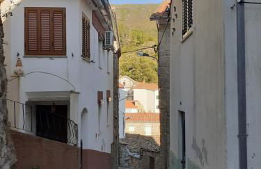 Casa Encantada - Alvoco da Serra - Foto 17