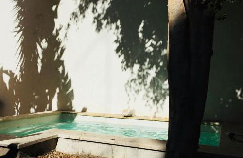 Pool & Garden Apt In the Heart of Lisbon - Foto 5