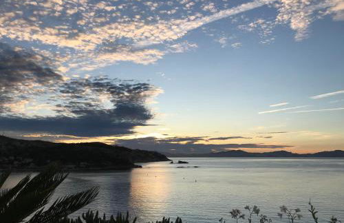 Front de mer 35m2 vue époustouflante - Foto 35