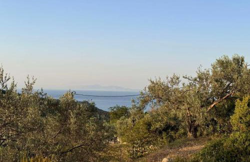 Fousa Home - Foto 16