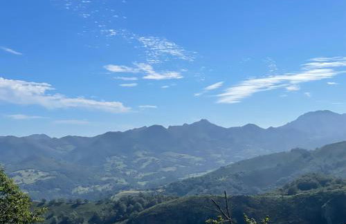 Vete Polo Segau, Seguencu - Foto 59