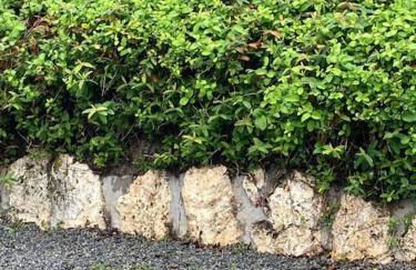 Gîte Coccinelle - Foto 10