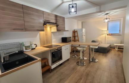 L'Ecrin de Saint Genest Lerpt - Belle vue et Calme - Foto 9