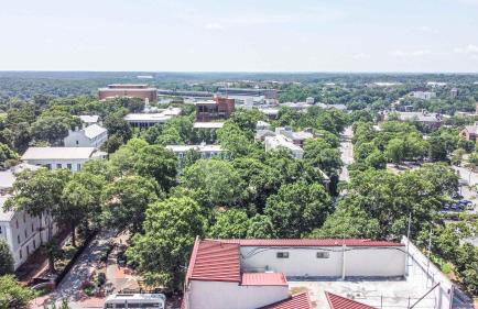 Home is Where the Arch is - Across from UGA - Photo 42