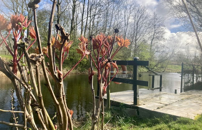 Holiday House Platz an der Sonne for 6 People Near Lake Lauwersmeer - Foto 12