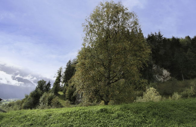 Ratschnhäusl - Foto 14