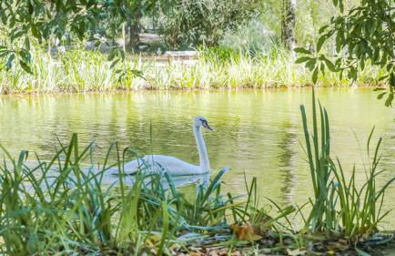 Casa dos Capinha - Photo 28