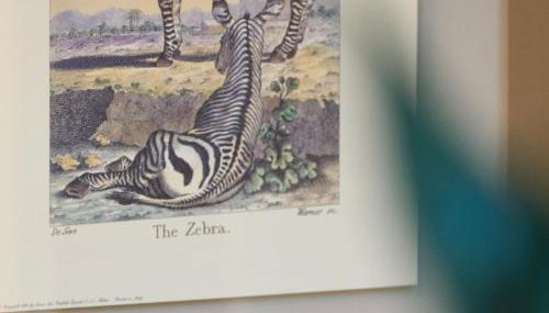 A la plage R - Foto 5