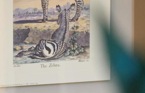 A la plage R - Foto 5